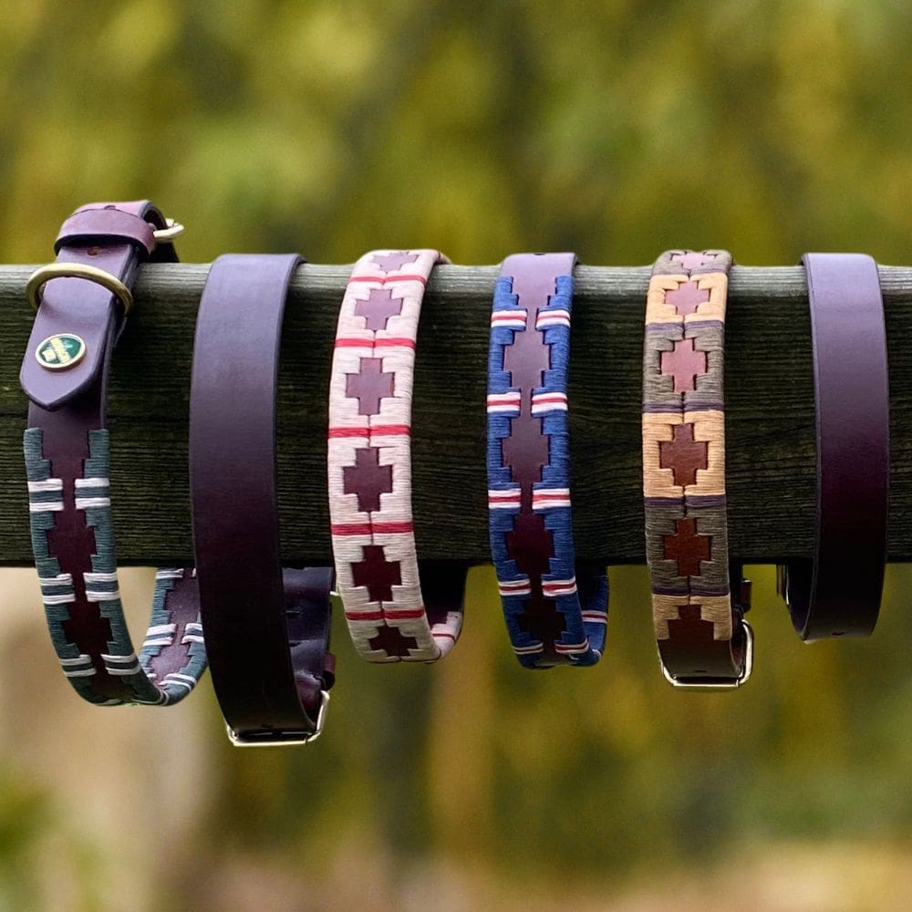 Halsbanden-aan-hek-MORAGHI Aantal verschillende polo halsbanden hangend aan een hek.