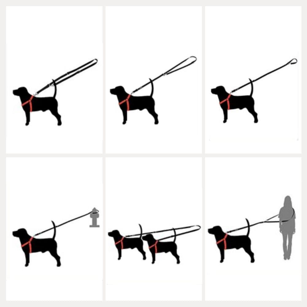 Gebruik-hondenlijn-MORAGHI-2