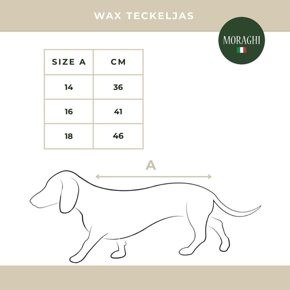 maattabel voor teckel waxjas